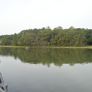 Virginia Aquarium - Owls Creek Overlook