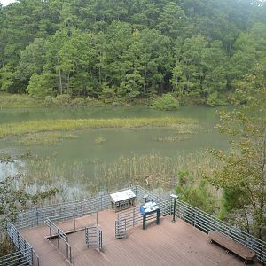 Nature Trail - Overview