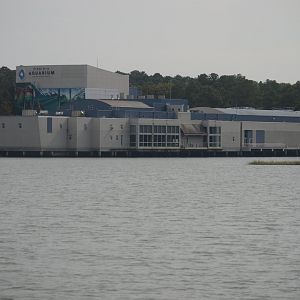 Virginia Aquarium - View from Owl Creek.