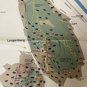 Zoo Map - 2016