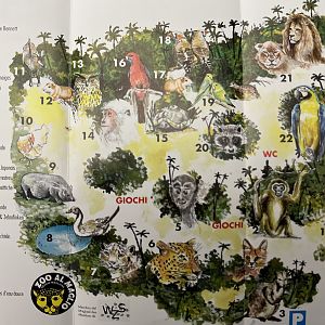 Zoo al Maglio Map - undated