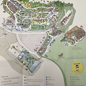 Zoo Map - 2018