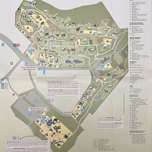 Zoo Map - 2008