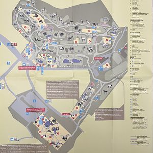 Zoo Map - 2006