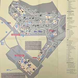 Zoo Map - 2005