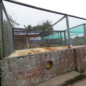 The 'porthole' seal pool