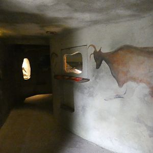 Ice Age caves exhibit