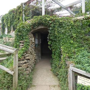 Entrance to Ice Age caves exhibit