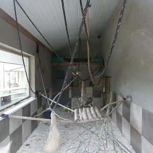 Lar gibbon indoor enclosure