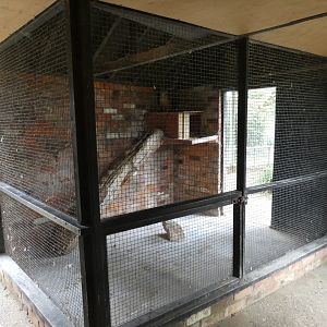 Indian eagle-owl aviary