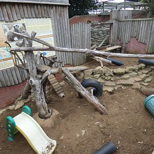 Meerkat enclosure