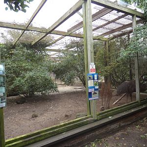 The Misses Hollands aviary