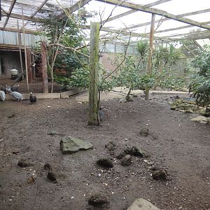 The Misses Hollands aviary