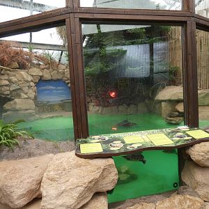 Terrapin enclosure