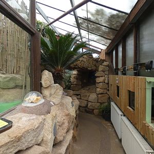 View in 'Walking through Time' house