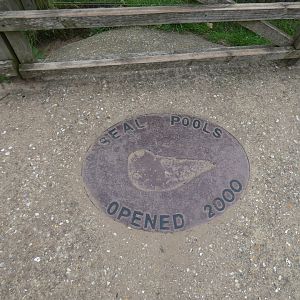 Plaque to seal pool opening
