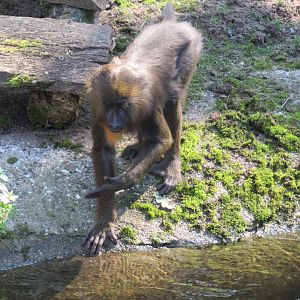 09 2023 - Mandrill