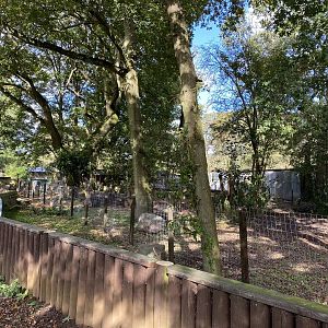 New enclosure under construction, Beale Park, UK