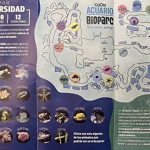 Acuario Bioparc Map - undated