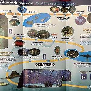 Acuario de Almunecar Map - undated