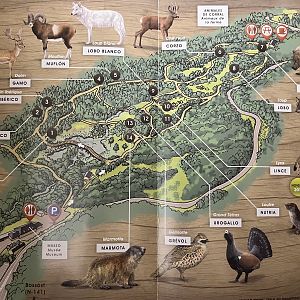 Aran Park Zoo Map - 2014