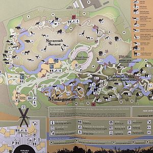 Zoo Map - 2009