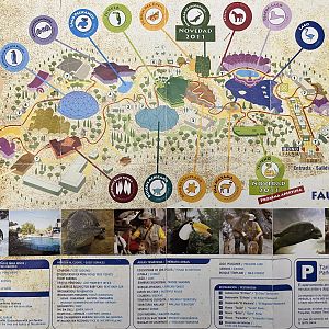 Zoo Map - 2011