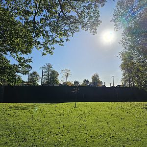 Snow leopard enclosure