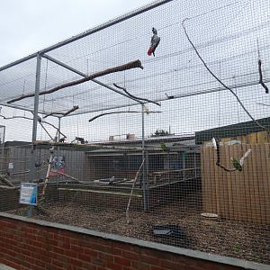 Parrot aviary attached to the Animal Rehabilitation and Reception Centre