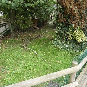 European eagle owl enclosure
