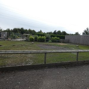 African spurred tortoise enclosure