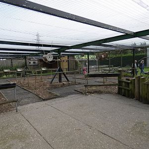 Walk-through aviary