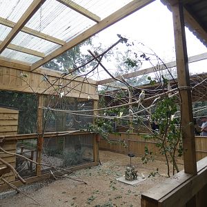The Peaceful Plot walk-through aviary