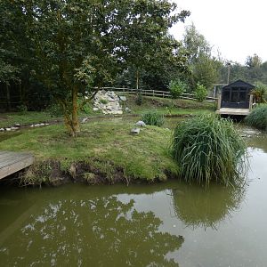 The National Turtle Sanctuary