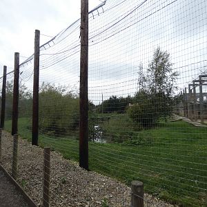 Tiger enclosure