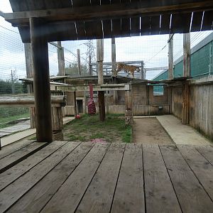 Tiger holding enclosure