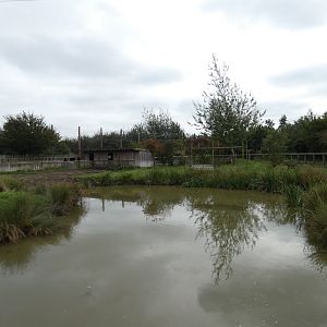 Brazilian tapir enclosure