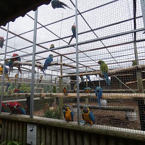 Macaw aviary