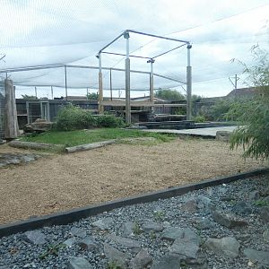 Leopard enclosure