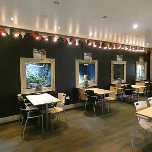 Reptile displays in restaurant