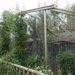 Common marmoset enclosure