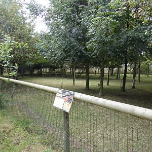 Greater rhea enclosure