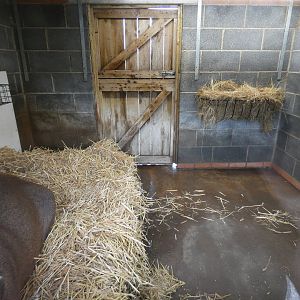 Brazilian tapir indoor enclosure