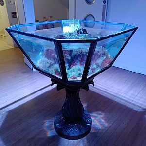 Open-topped tank in Goose's Anemones