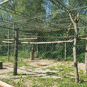 White-tailed sea eagle aviary, 2023-05-19