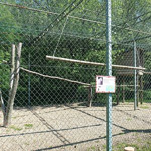Himalayan griffon vulture aviary, 2023-05-19