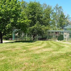 View in raptor area, 2023-05-19