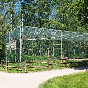 Bald eagle and White-tailed sea eagle aviaries, 2023-05-19