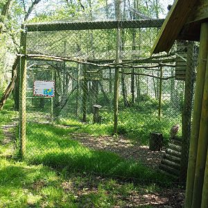Barn owl aviary, 2023-05-19