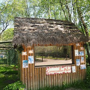 Bird raising cabin the raptor area, 2023-05-19